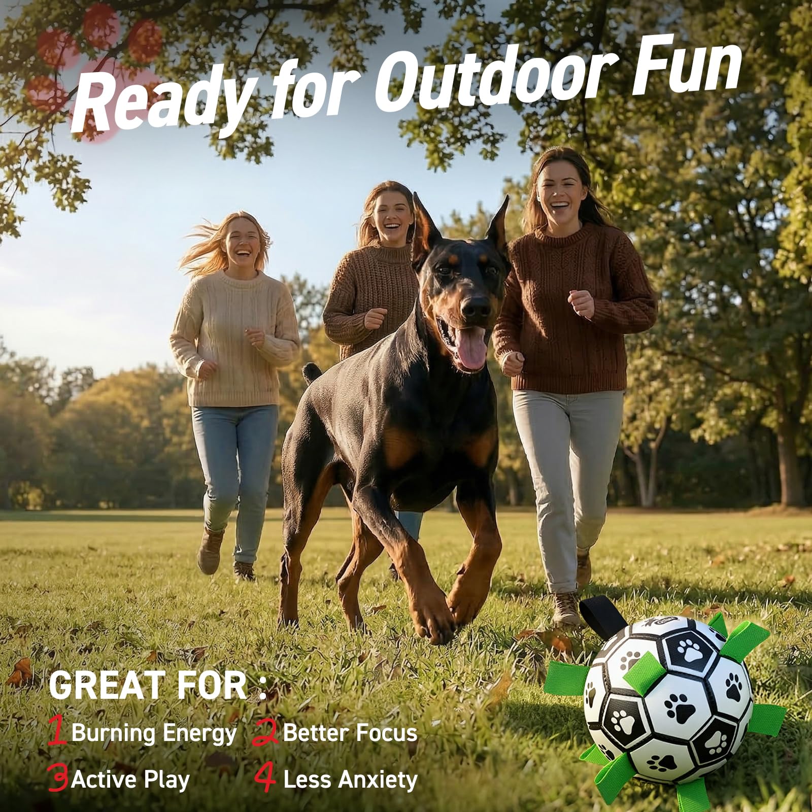 QDAN interactive toy with nylon tabs boosts chase, fetch, and tug sessions.