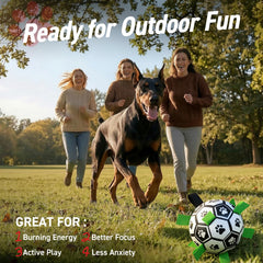 QDAN interactive toy with nylon tabs boosts chase, fetch, and tug sessions.
