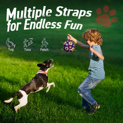 QDAN interactive toy for small and medium dogs promotes movement and engagement.