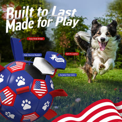 QDAN interactive dog toy for indoor and outdoor training.