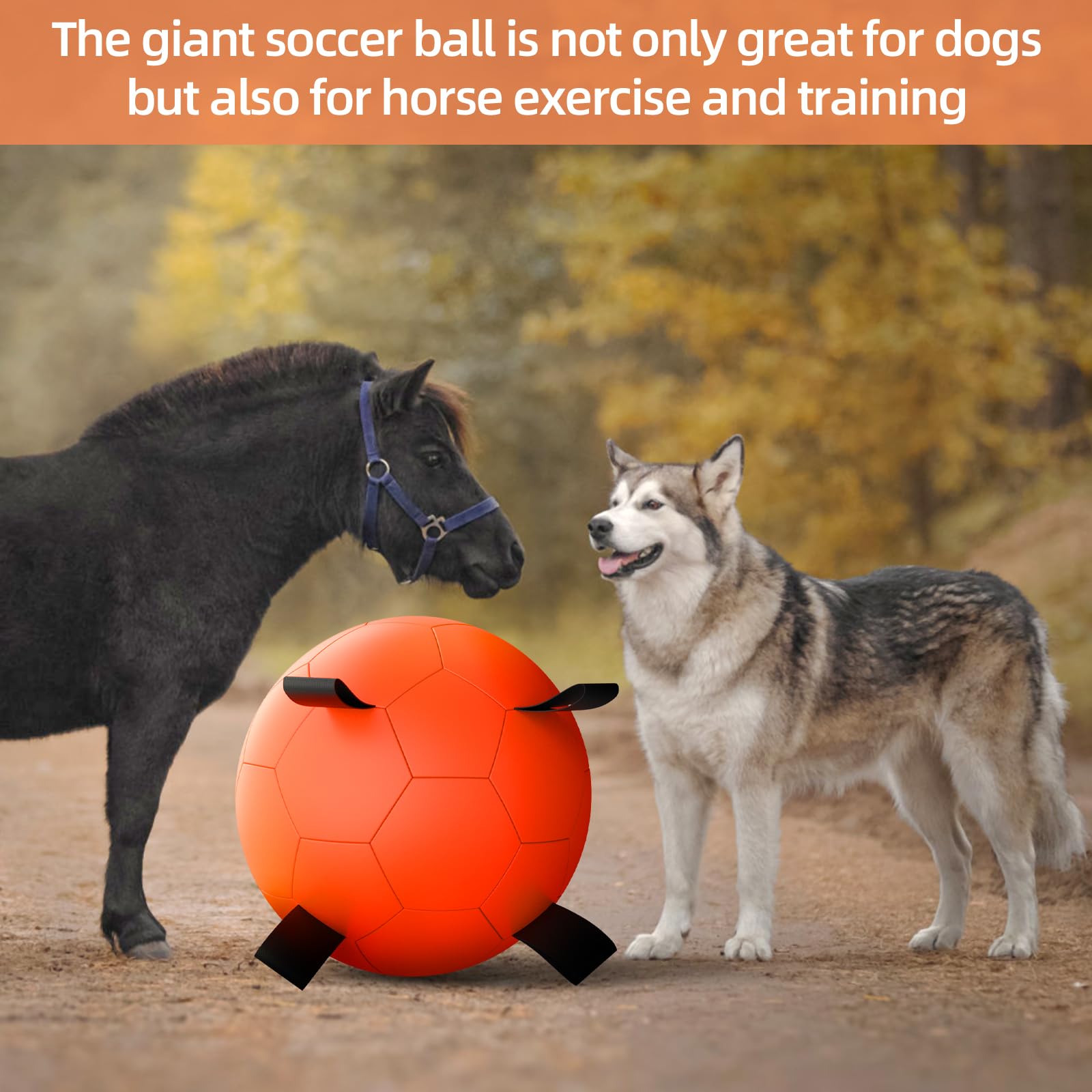 Suitable for large dogs and horse-friendly play sessions.