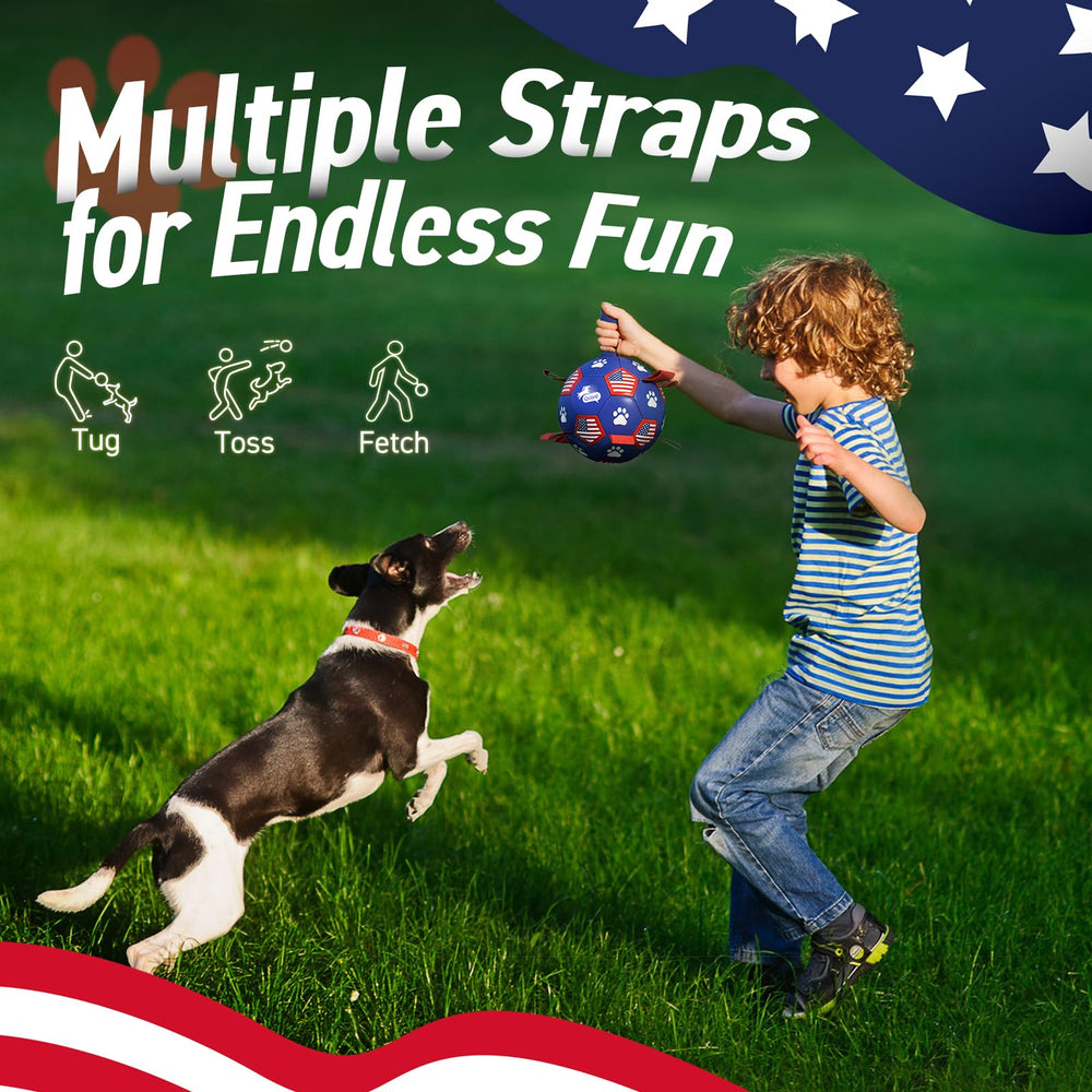 QDAN 8-inch ball ideal for large breeds.