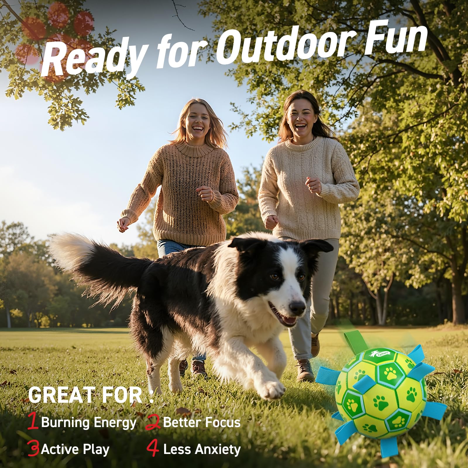 QDAN lightweight ball for easy throwing and chasing.