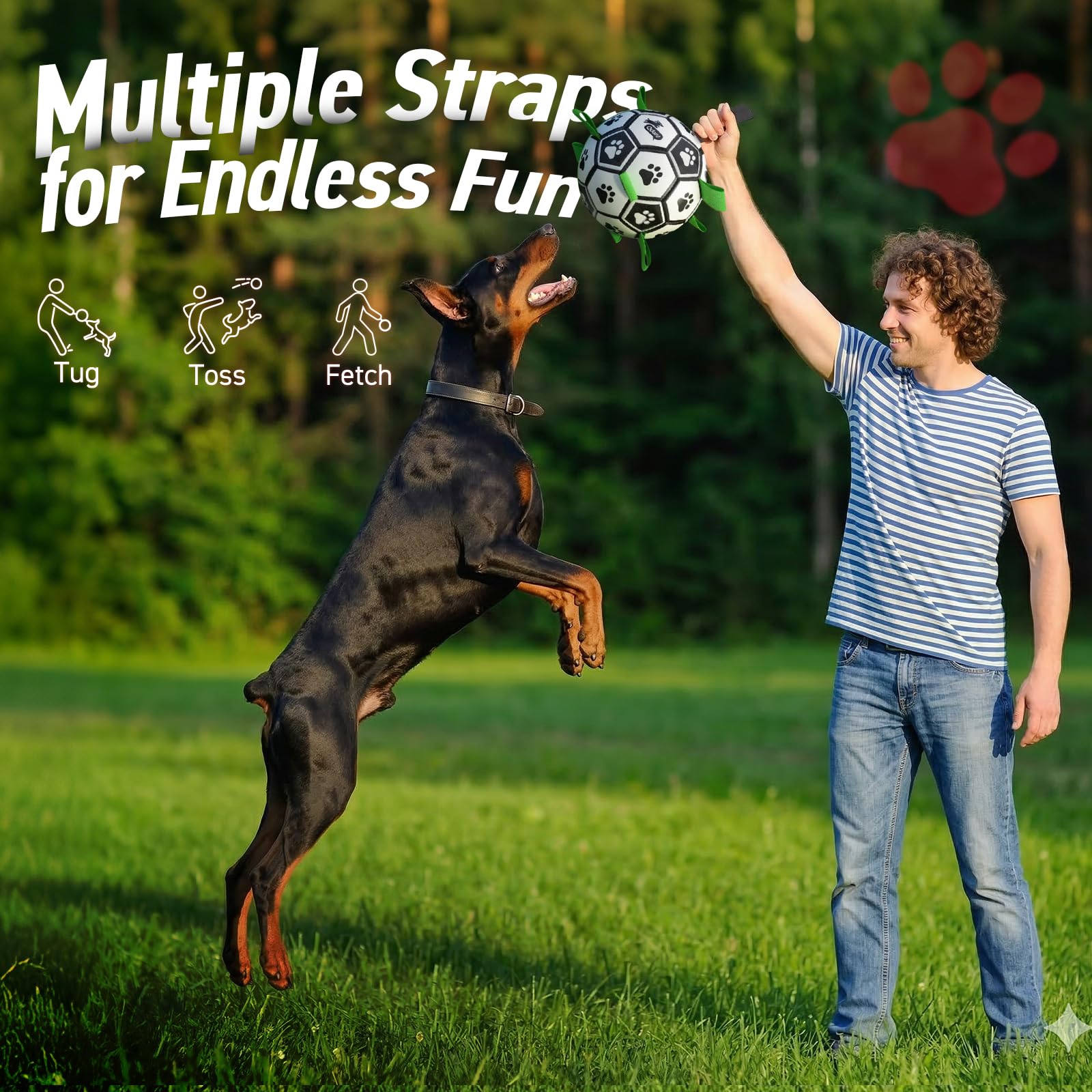 QDAN large-size ball suited for giant breed dogs and interactive training.