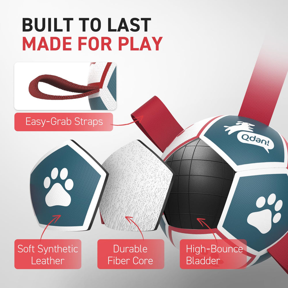 QDAN non-toxic PU ball supports safe, interactive dog fun
