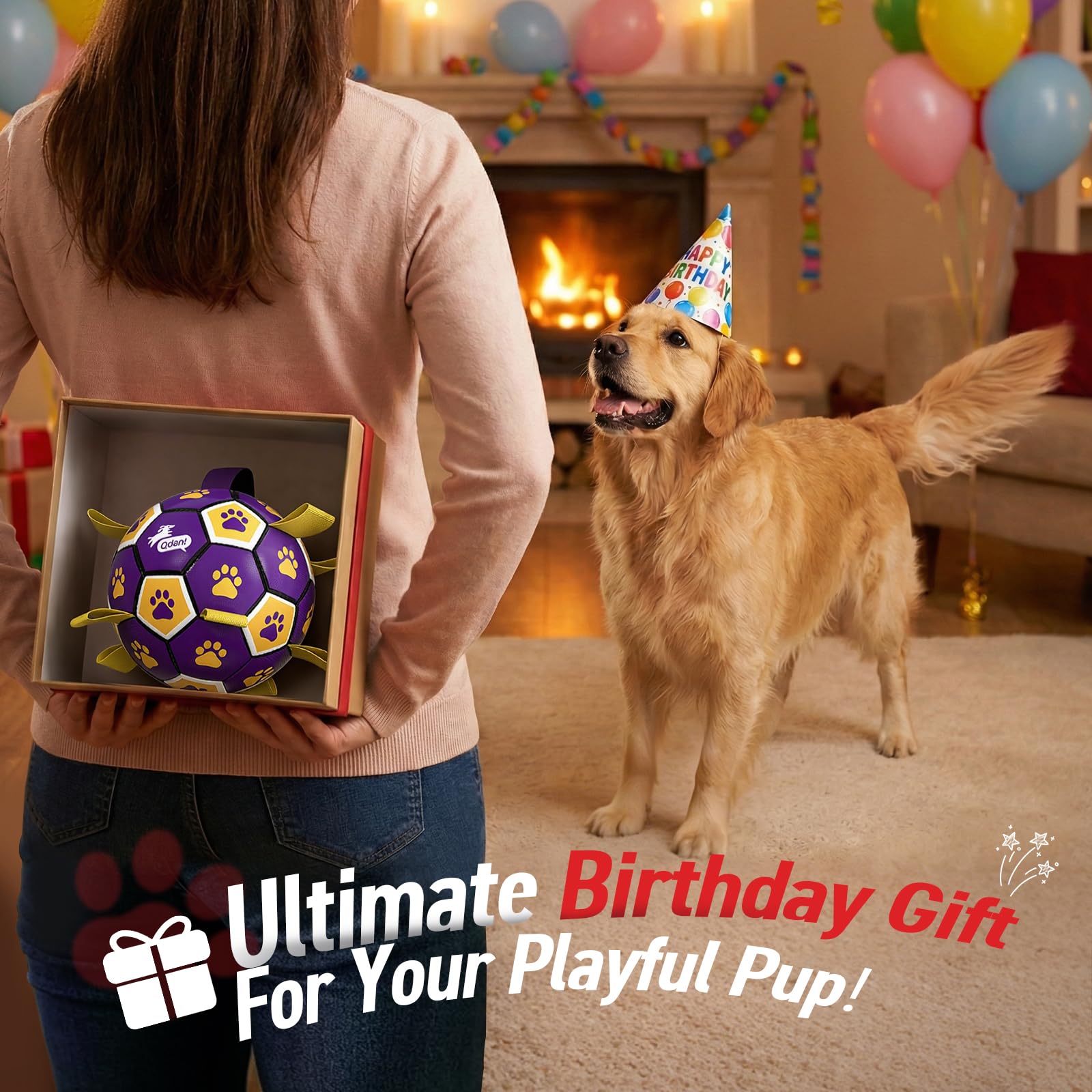 QDAN non-toxic dog ball emphasizes safety during supervised play.