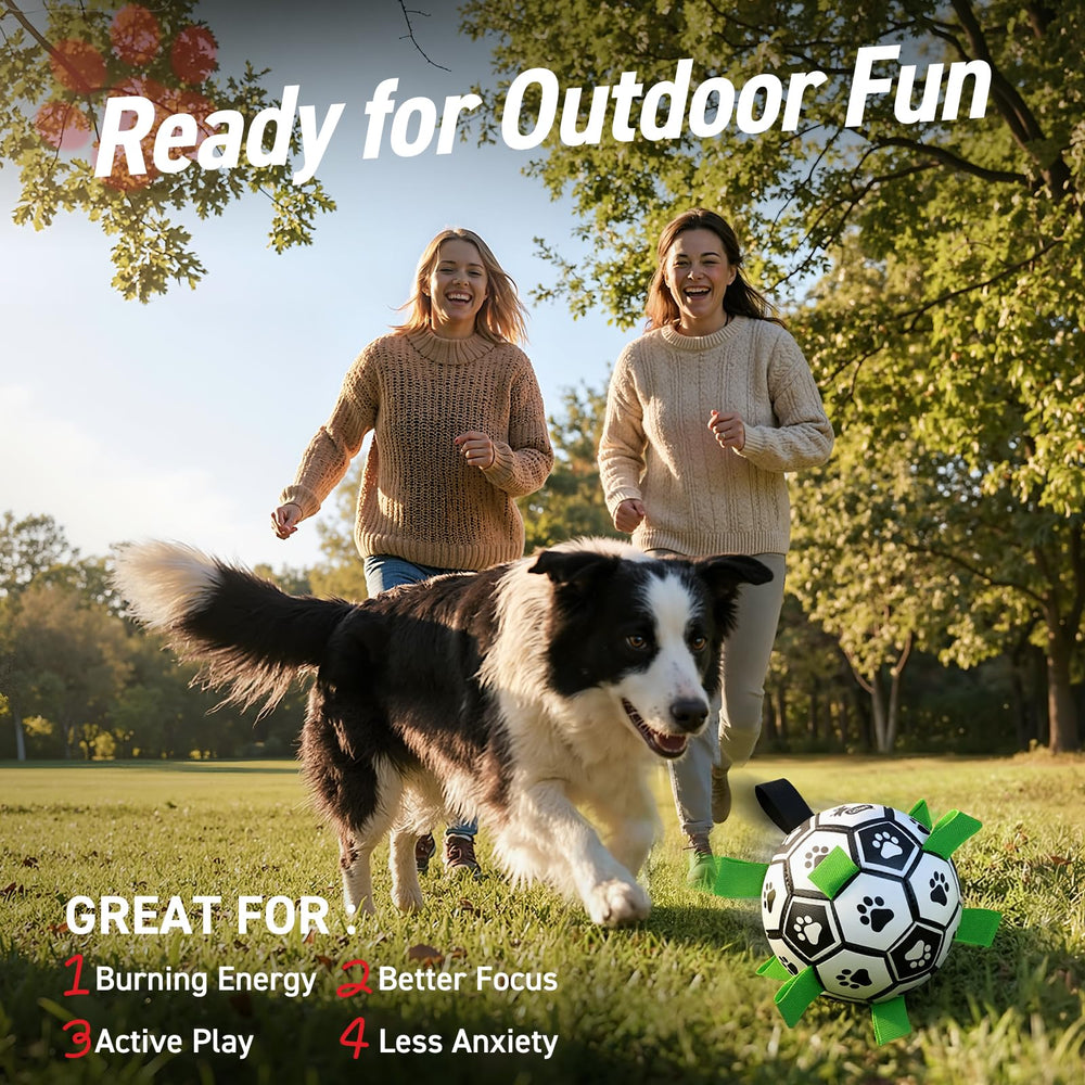 QDAN interactive ball is not a chew toy; great for tug-of-war.