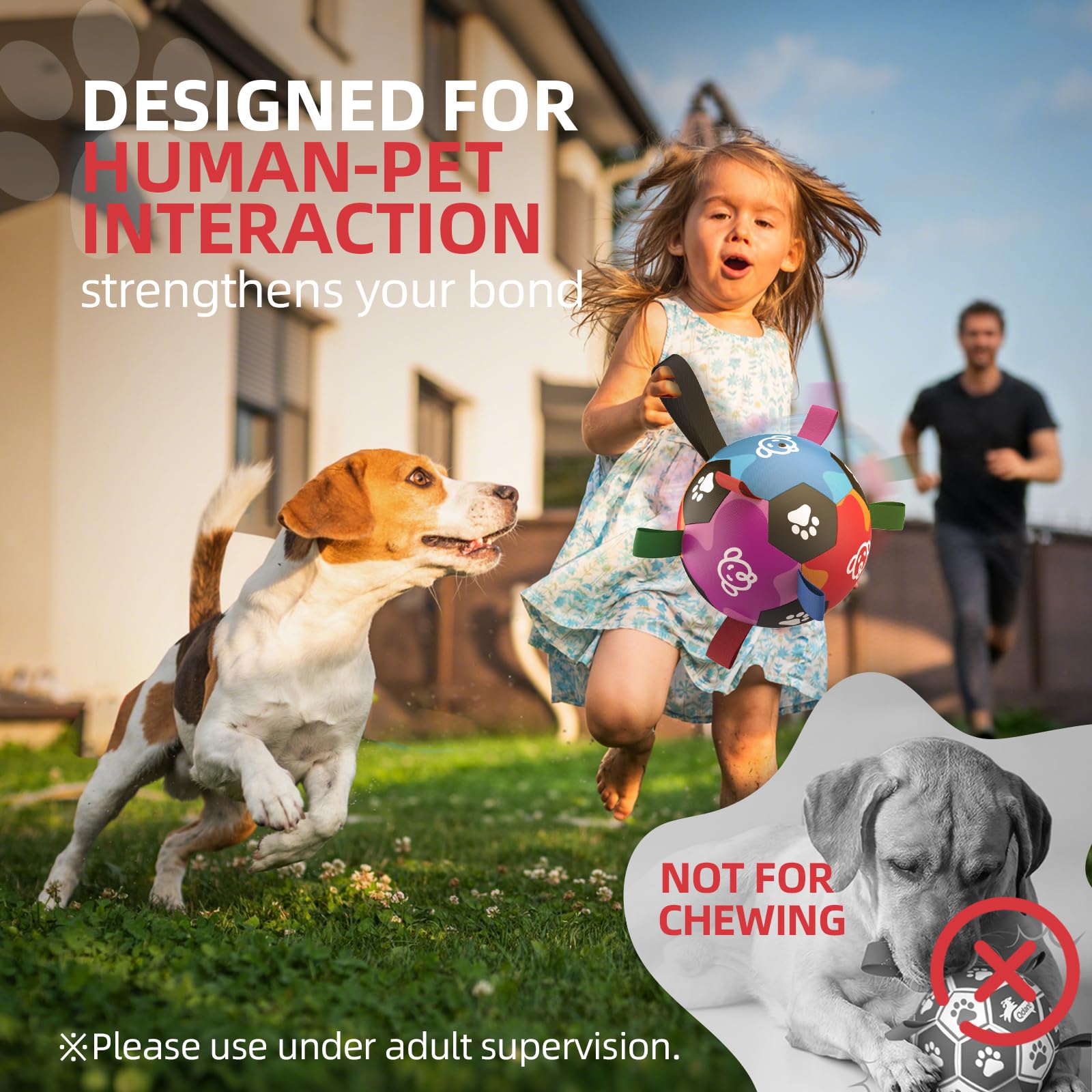 QDAN dog ball ideal for beach, park, and living room training.