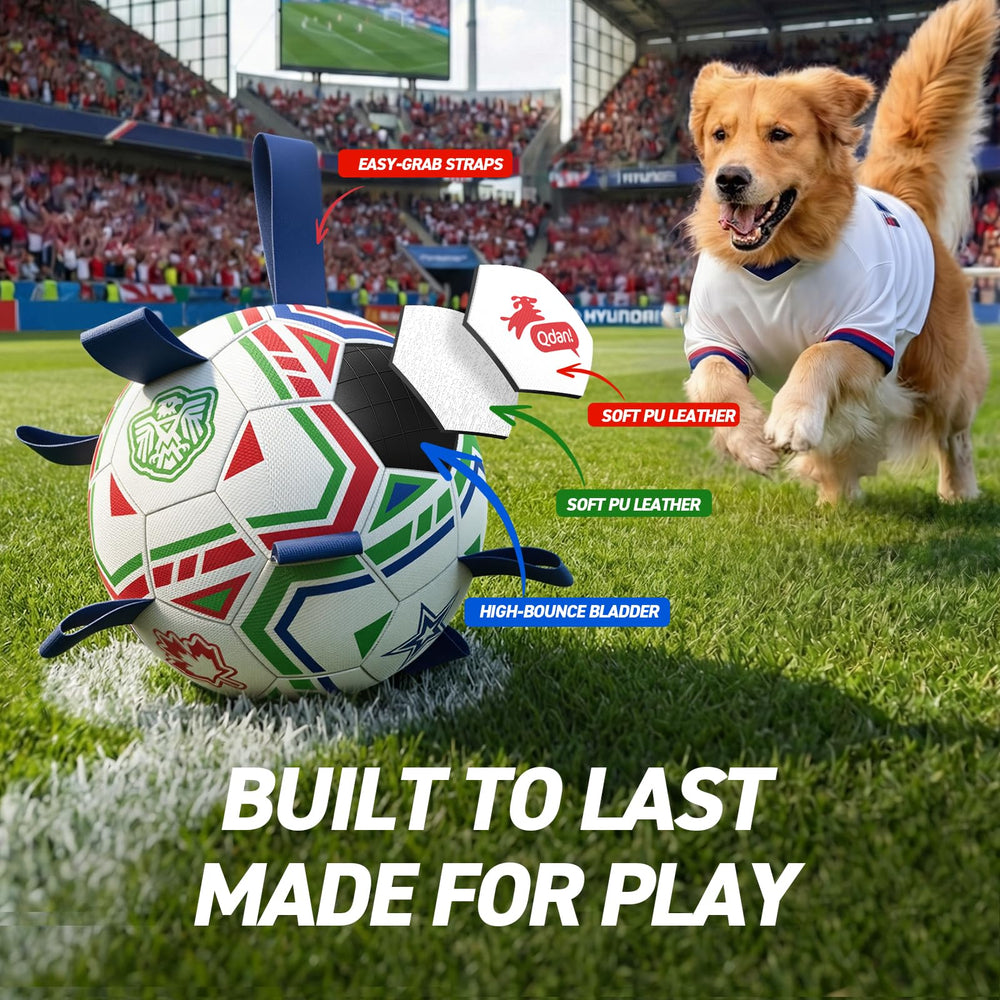 QDAN World Cup ball designed for outdoor water play at pool.