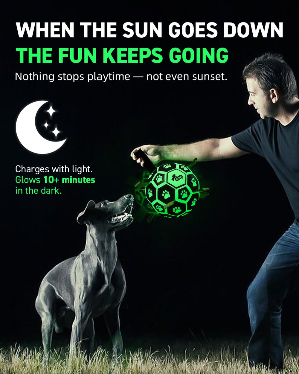 QDAN paw-print design on ball to attract dogs during play.
