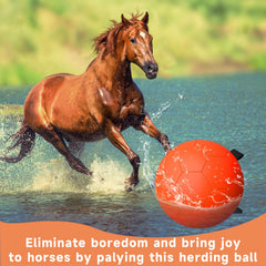 QDAN PU material; durable dog toy built for rugged outdoor play.