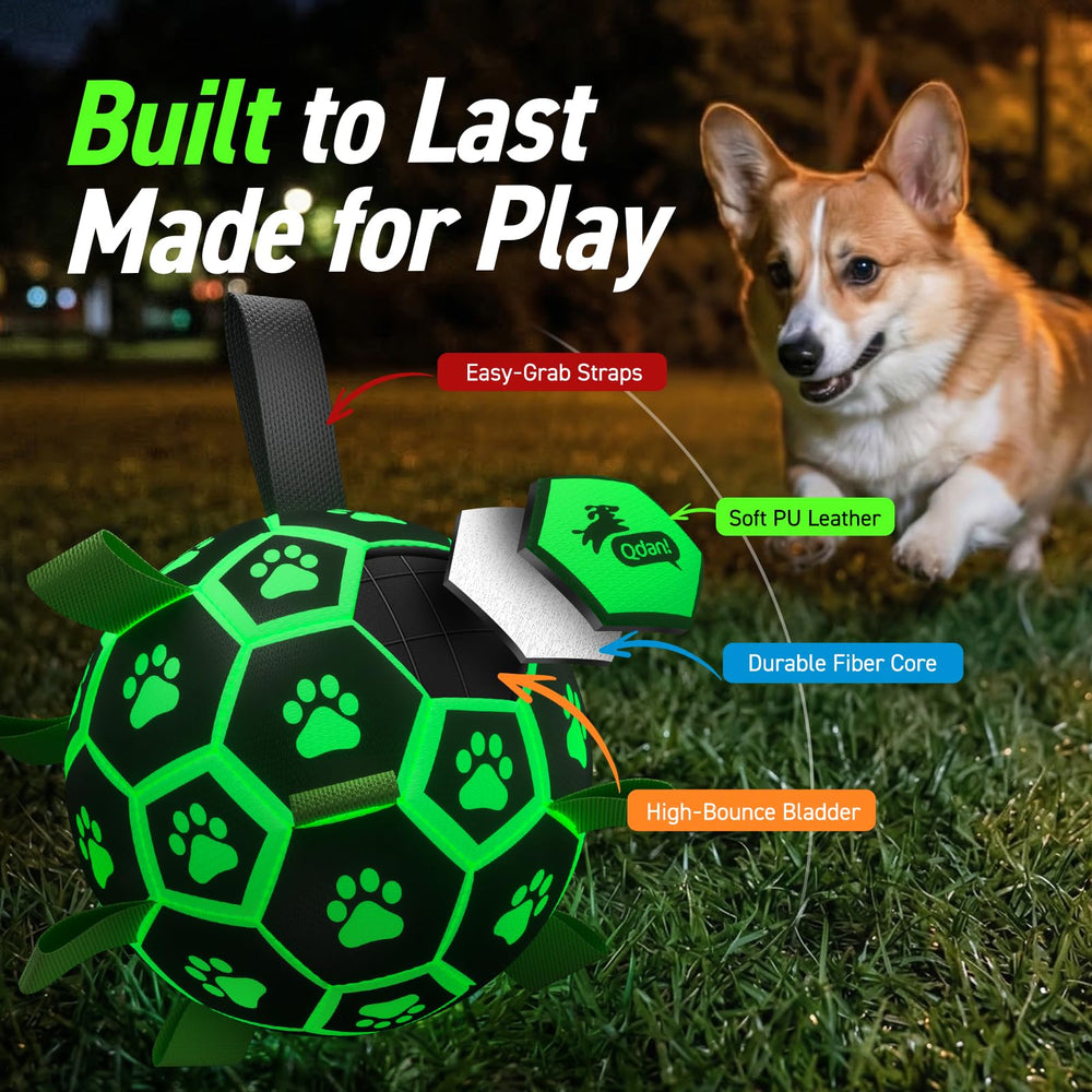 QDAN puppy birthday gift ball offering playful bonding moments