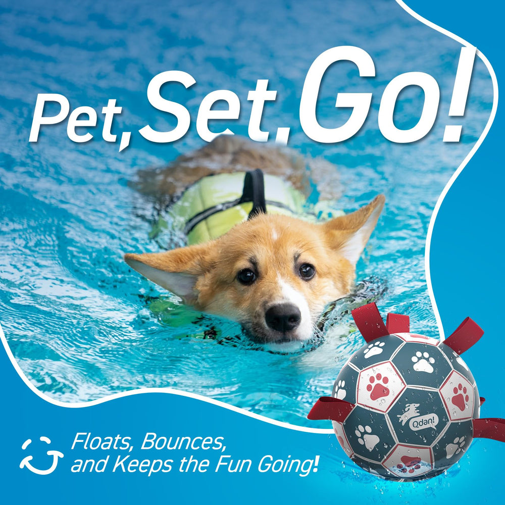 QDAN rope-on-surface design makes pickup simple for dogs.