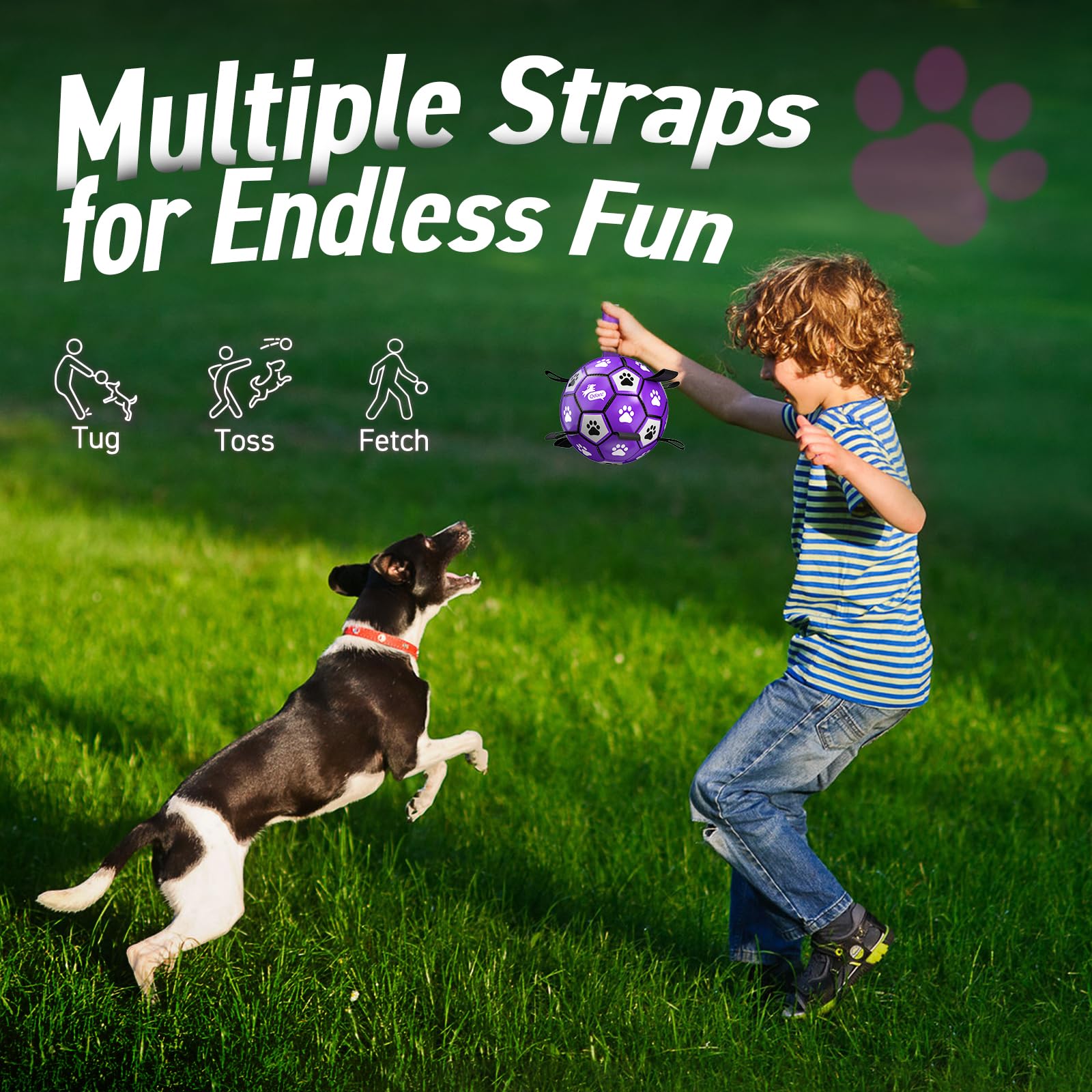 QDAN dog ball toy ideal as a birthday gift for puppies.