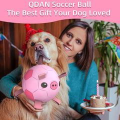 QDAN ball with nylon tabs offers erratic bounce for fetch and tug.