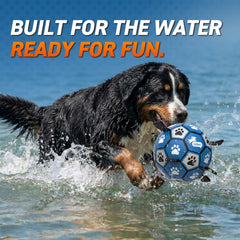 QDAN soccer ball with straps ready for tug, fetch, and running games