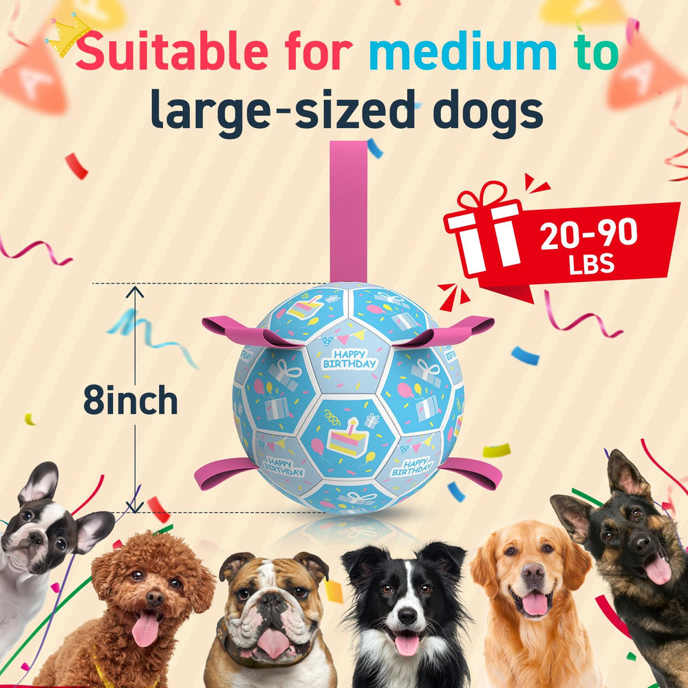 QDAN training-friendly ball for obedience and agility sessions