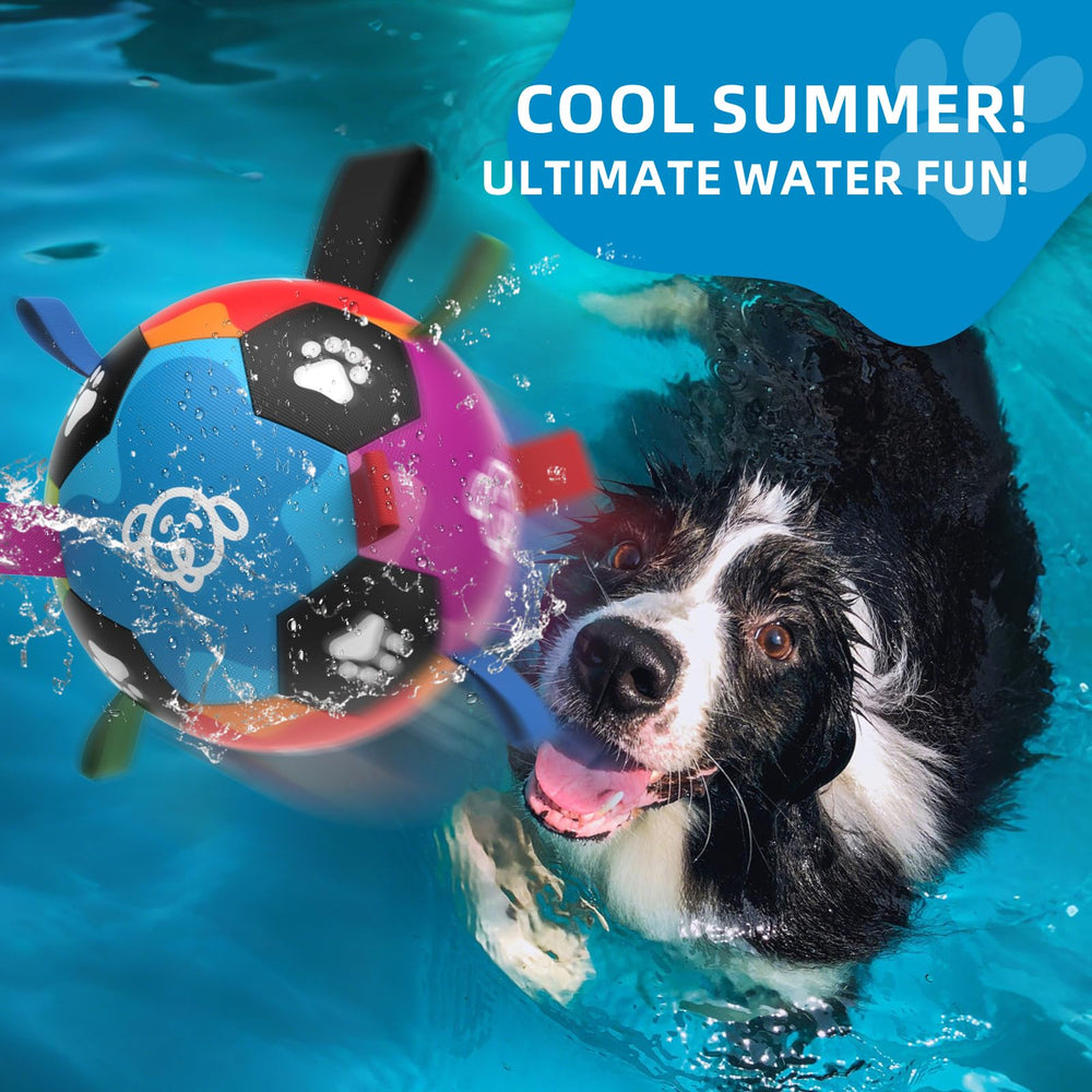QDAN interactive ball supports tug, pull, and shake play.
