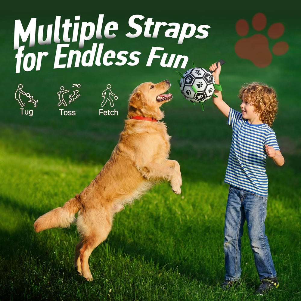 QDAN water-friendly dog ball for pool, lake, and beach play.