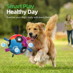 QDAN waterproof dog ball for easy cleanups after outdoor adventures.