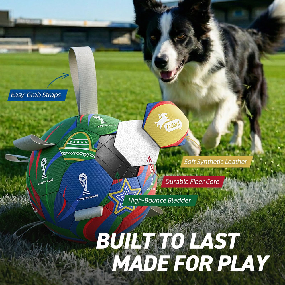 QDAN 7-inch ball suitable for all breeds, safe and manageable
