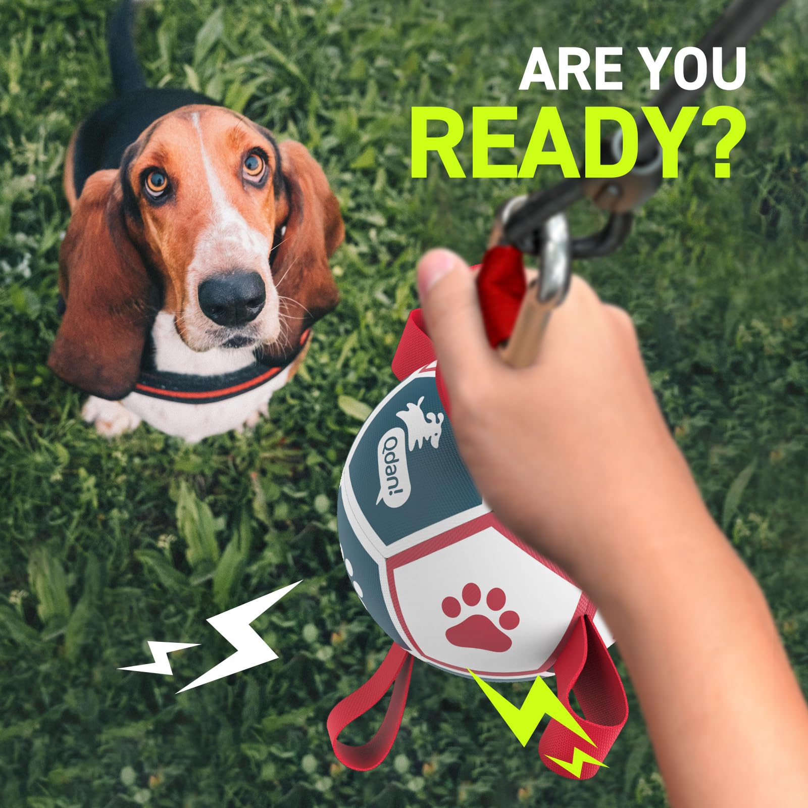 QDAN dog ball with nylon-tabs delivers erratic bounce for fetch