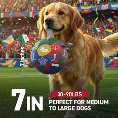 QDAN dog ball with nylon straps makes grabbing and carrying easier