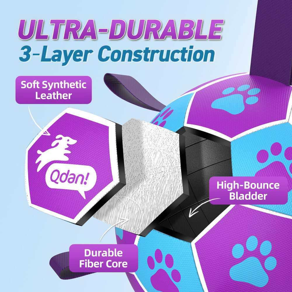 QDAN birthday gift ball toy for playful pups