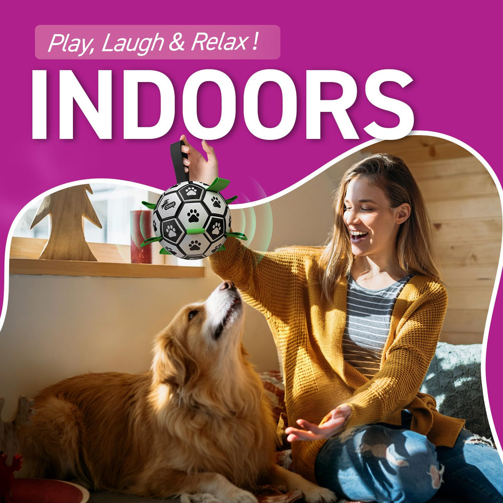 QDAN ball supports interactive fetch and tug sessions.
