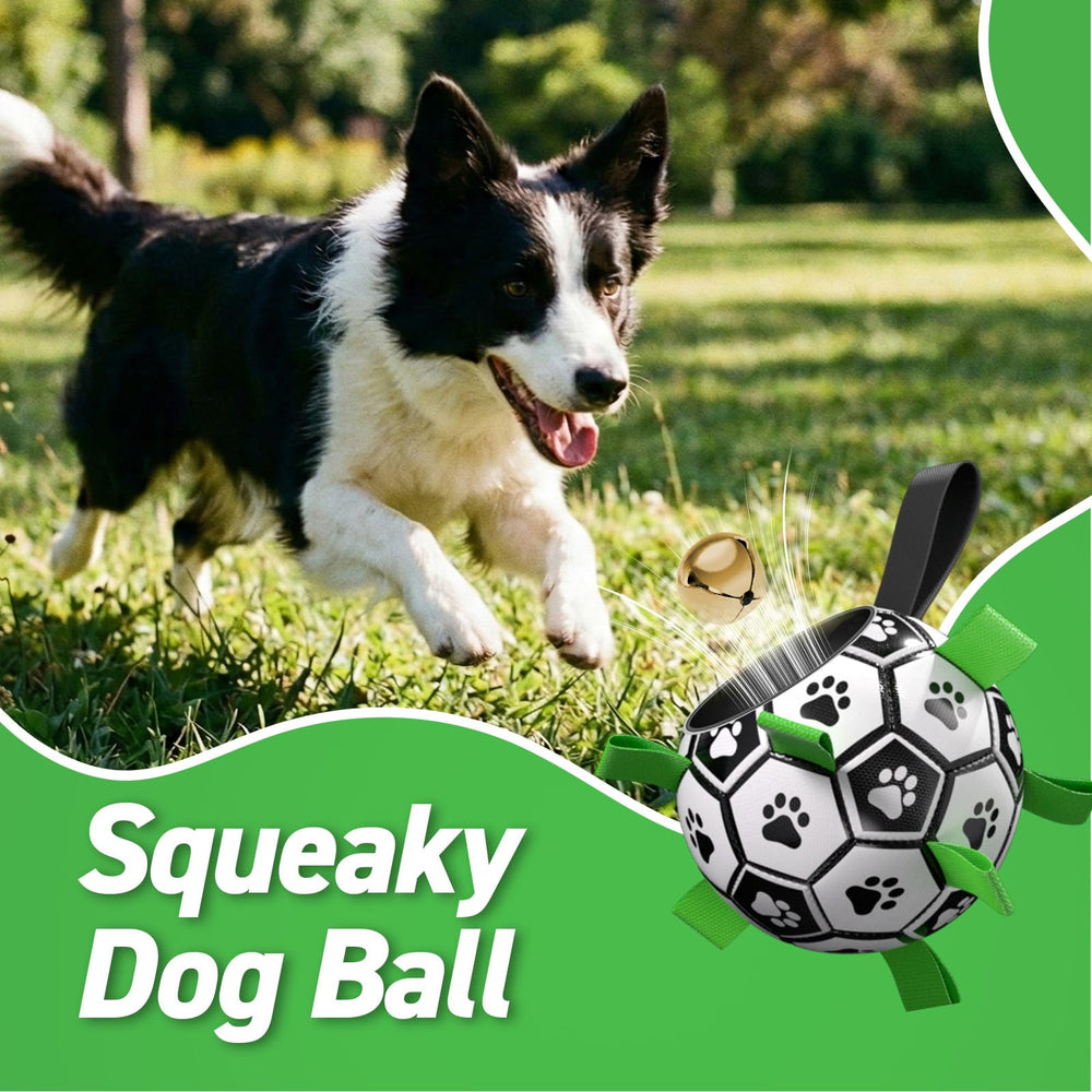 QDAN ball includes a long strap for easier carrying.
