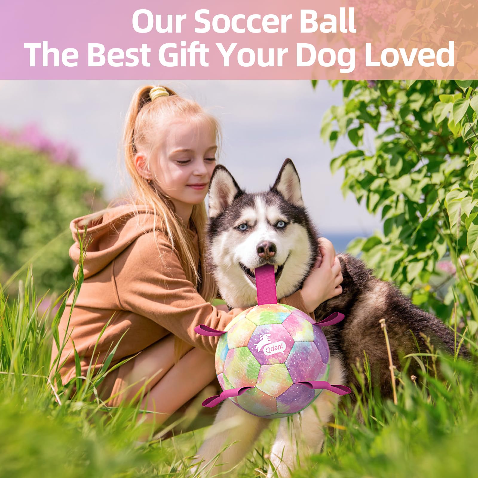 QDAN dog toy for beach play featuring rainbow ball design