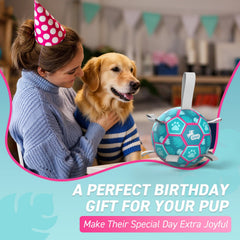 QDAN durable PU ball is safe for dogs.