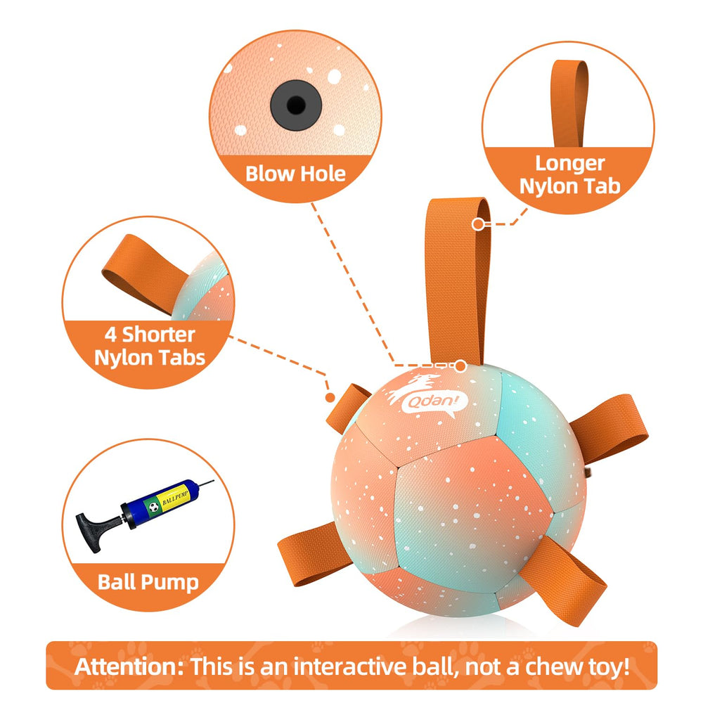 Indoor and outdoor friendly dog toy that encourages interaction and exercise