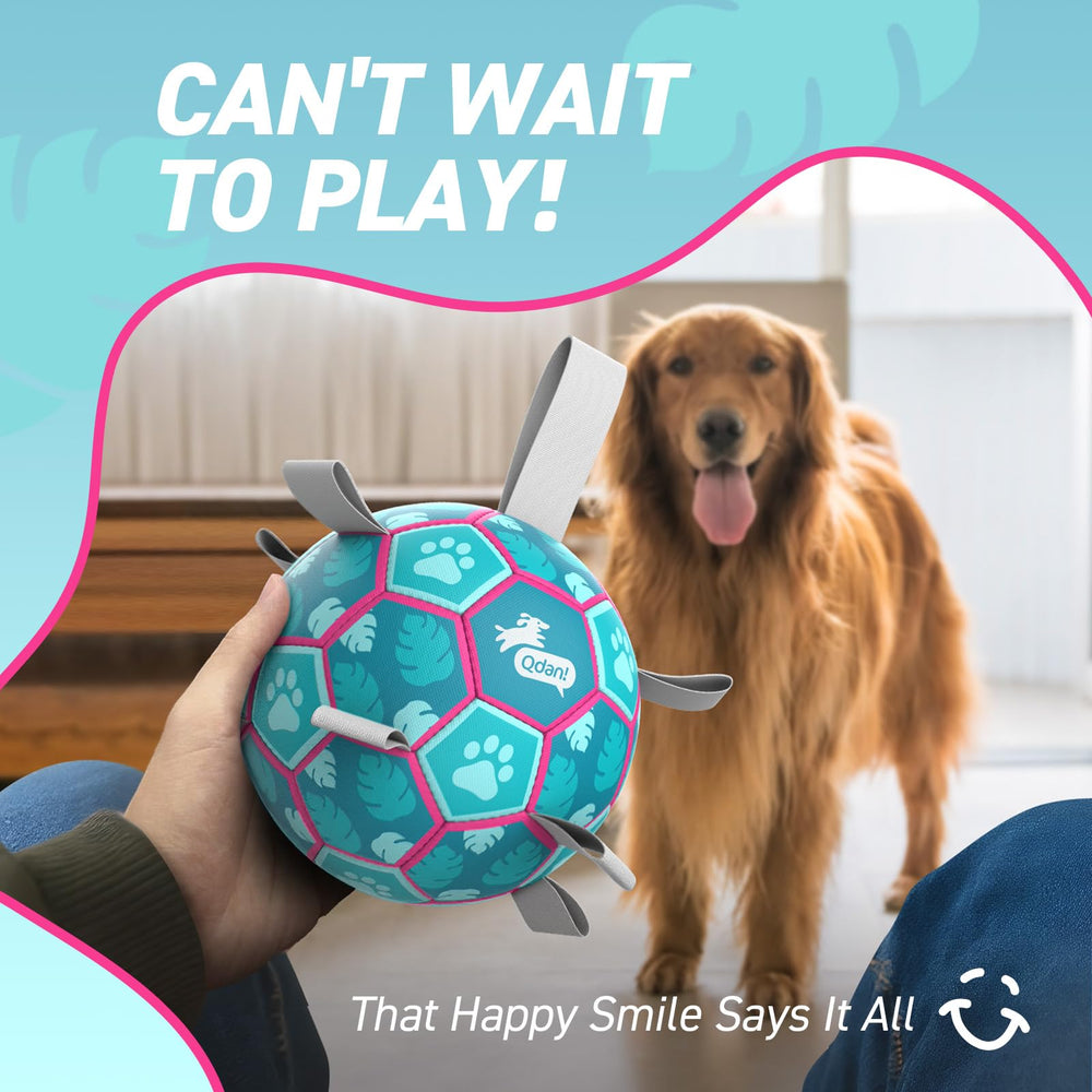 QDAN interactive ball helps reduce boredom during solo play.