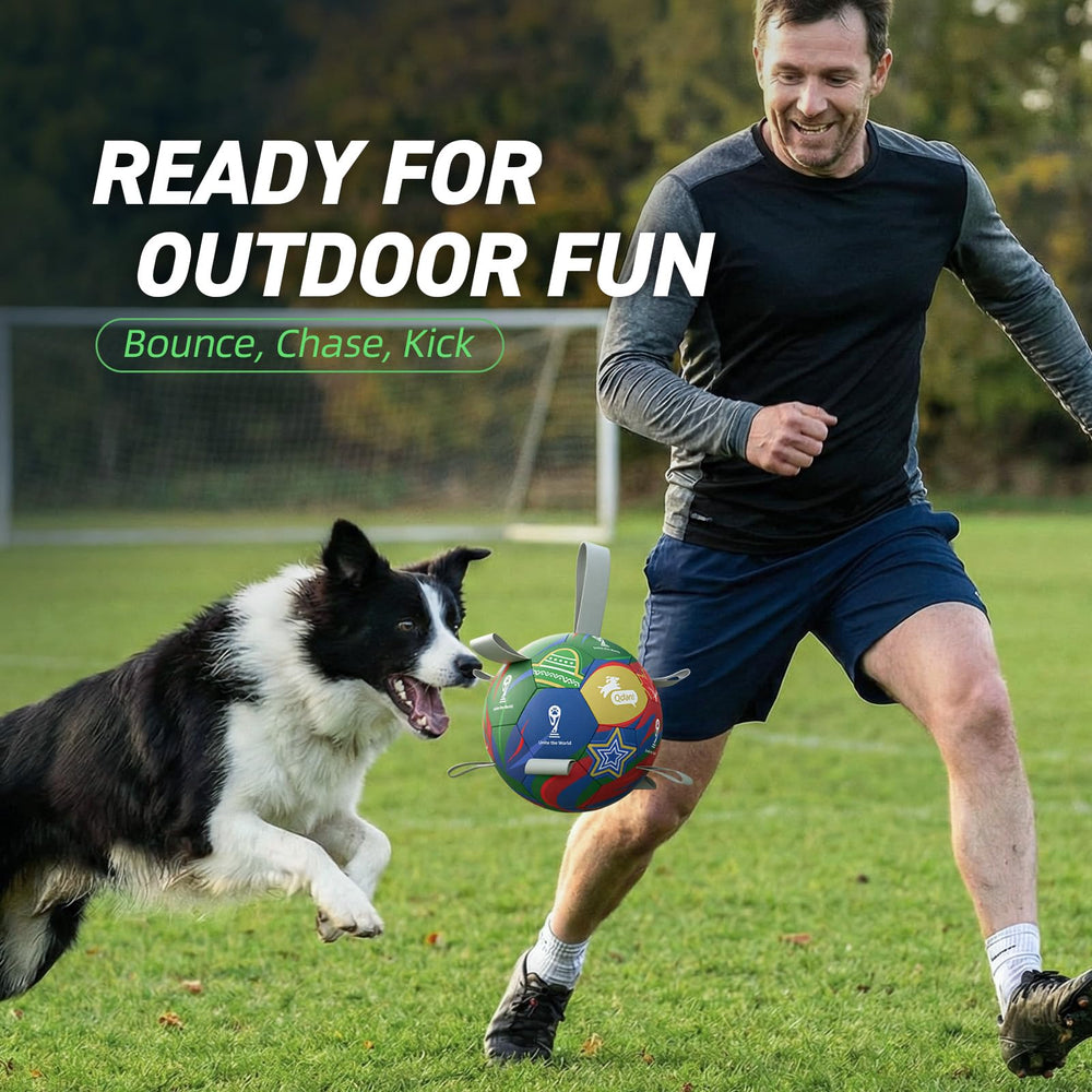 QDAN multi-use toy for park, yard, and training sessions