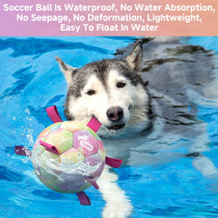 QDAN pool water toy rainbow ball ready for splash and fetch