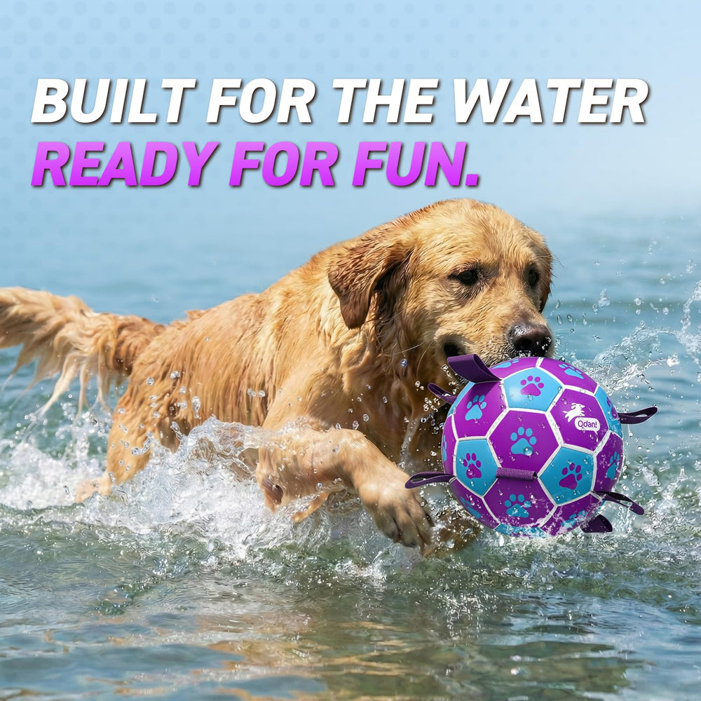 QDAN premium PU dog ball for durable interactive play