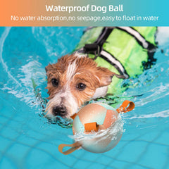 Rainbow orange dog ball suitable for outdoor play with small breeds