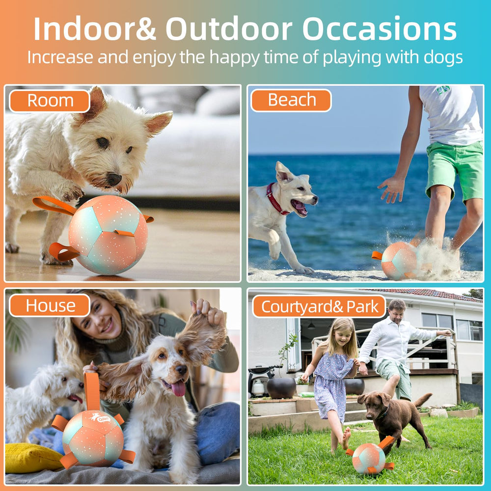 5-inch QDAN ball ideal for pool or beach play with small dogs