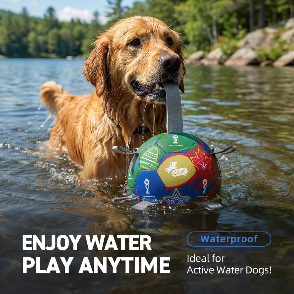 QDAN supervised play reminder helps safe, enjoyable dog ball time
