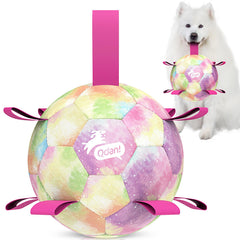 QDAN rainbow 9in soccer ball for large dogs, ideal for fetch and play