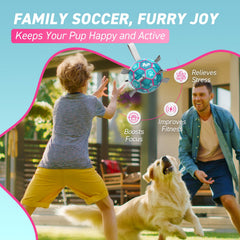 QDAN water-friendly ball floats for pool or lake fun.