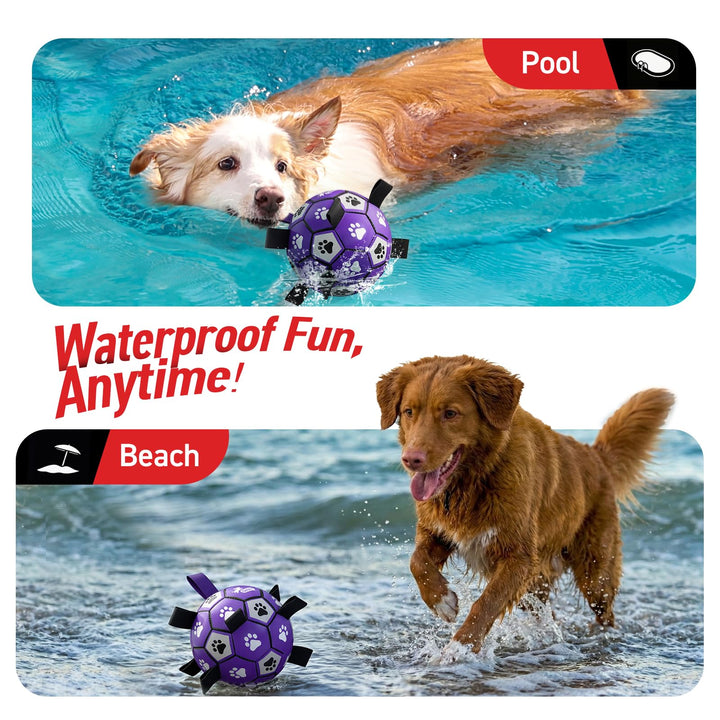 QDAN dog ball toy designed for water play at pool or beach
