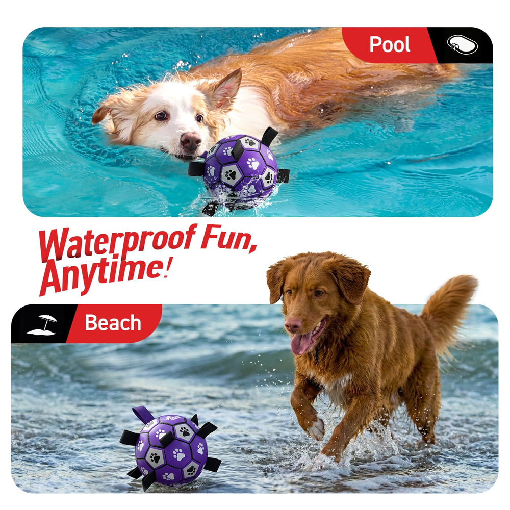 QDAN dog ball toy designed for water play at pool or beach