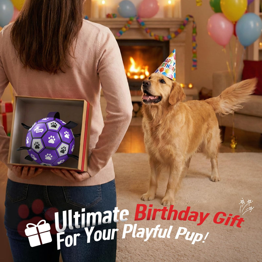 QDAN durable PU dog ball for large breeds with reliable bounce