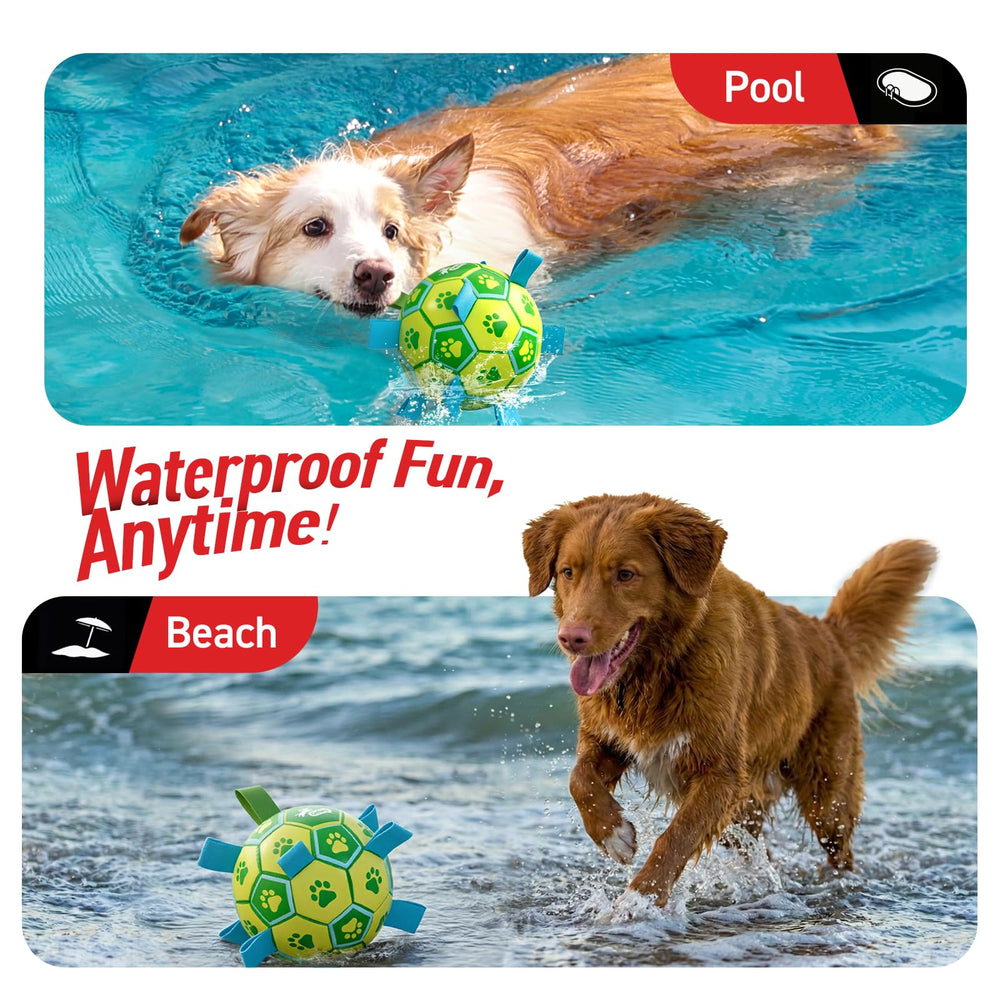 QDAN dog soccer ball pump included for quick setup and ready fun