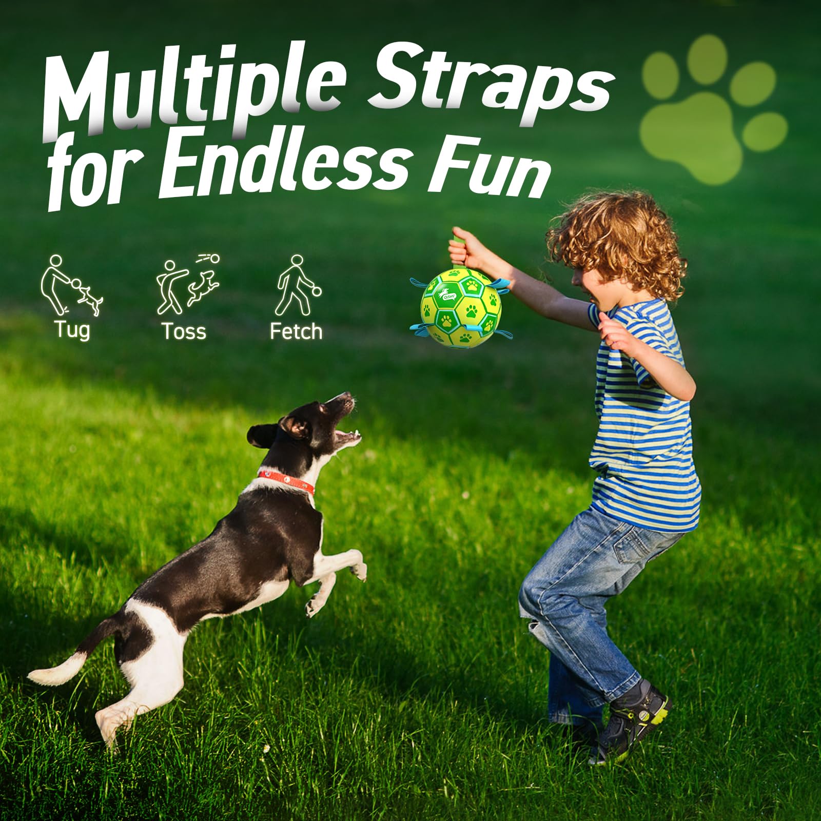 QDAN water-friendly ball ideal for pool or beach play with dogs