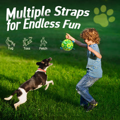 QDAN water-friendly ball ideal for pool or beach play with dogs