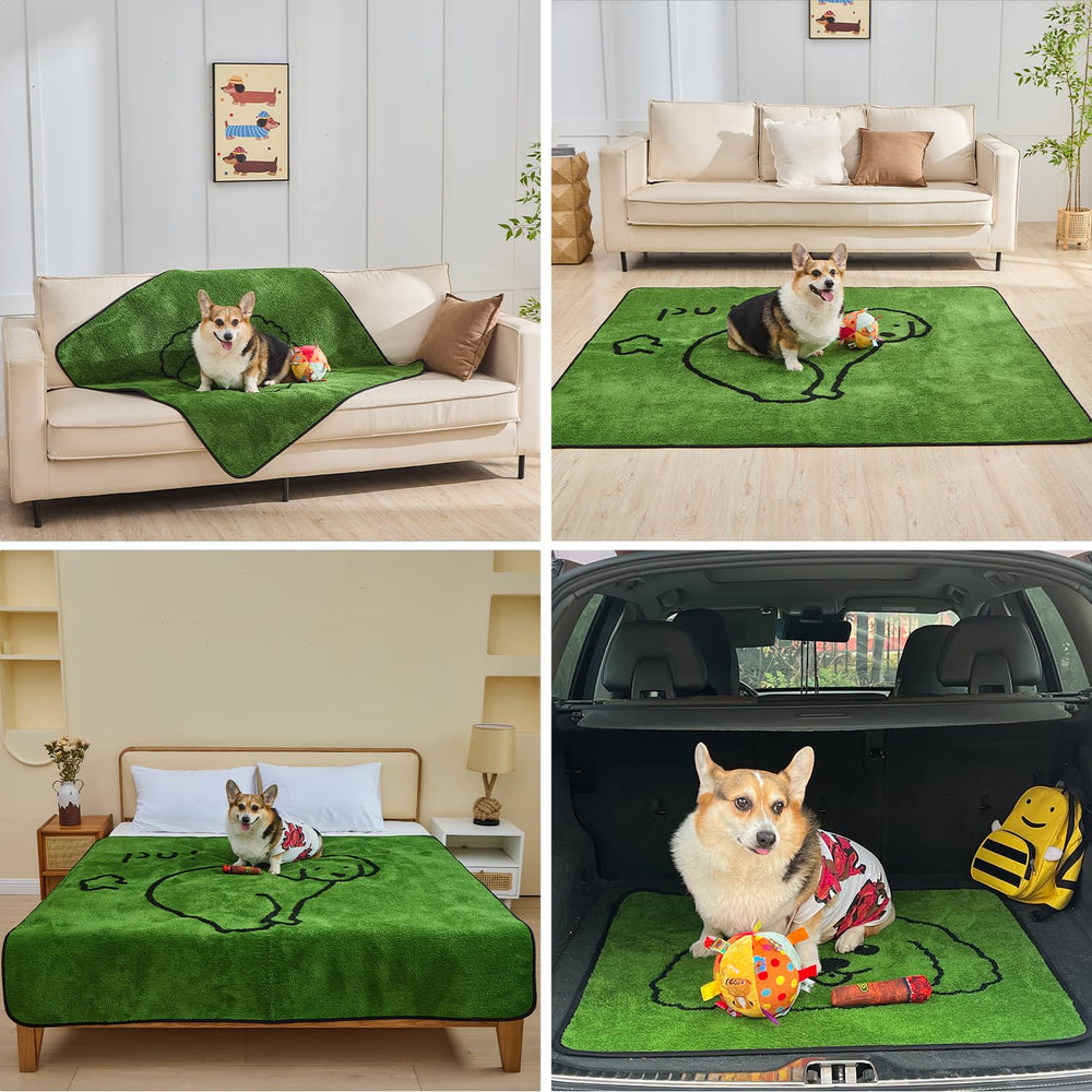 Qeils non-slip mat ideal for secure puppy training sessions