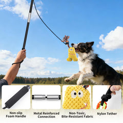 Qeoval Flirt Pole with nylon tether for stable high-energy chasing
